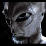 MekusBen's profile picture