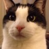 Phil profil fotoğrafı