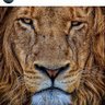 Frana's profile picture