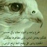 الهداف's profile picture