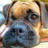 Profilbild von Mike