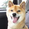 ちびまる 的头像