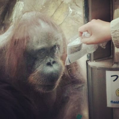 Damienzombie's profile picture