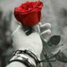 Ahmad_ world's profile picture