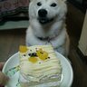 あき's profile picture