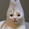 ひよこっこ profil fotoğrafı