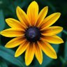 Фото профиля Allessandra Clark