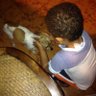 Jorge De la Rosa's profile picture