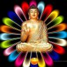Фото профиля ajay yonjan