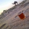عاشق الصحراء 的头像
