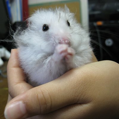 ngt_zaku_'s profile picture
