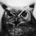 Profilbild von Damian