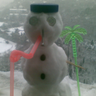 petya petechkin's profile picture
