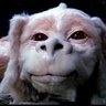 Falkor's profile picture