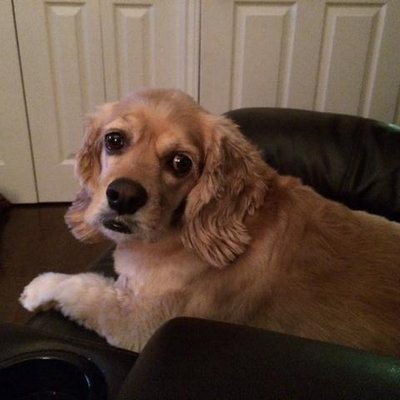 JpsportsJason's profile picture