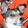 Saint Jawn's profile picture