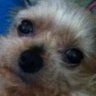 IIxMW3xII's profile picture
