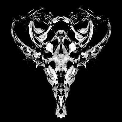 RichardDevine's profile picture