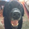 Linda S's profile picture