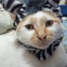 Matsukun 的头像