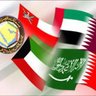 سفير🇴🇲🇵🇸 的头像