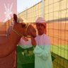 🇵🇸 محمد الجحافي 🇴🇲 profil fotoğrafı