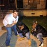 Bernie🇵🇷🇵🇸🇮🇪 profil fotoğrafı