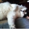 susan's profile picture