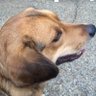 Don Seifman's profile picture