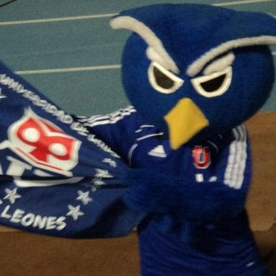ex mcbullanguera Mascota's profile picture