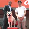 のぼさん 的头像
