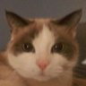 Profilbild von Andreas Falter