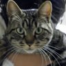 にゃーさん's profile picture