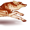Profilbild von daemon