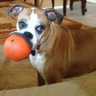 Deb's profile picture
