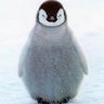 ペンギン's profile picture
