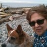 Profilbild von Wendy Hibberd