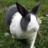 キアラ profil fotoğrafı