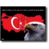 Cengiz Çelem's profile picture