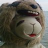 コヤジ's profile picture