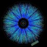 InformationBot profil fotoğrafı