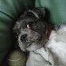 nelly's profile picture