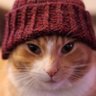 WDS profil fotoğrafı