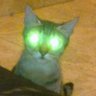 Kibalion's profile picture