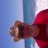 Jim Phillips's profile picture