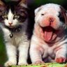 Фото профиля CuteTubeVideos