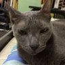Profilbild von tinthefatty@mastodon.hk