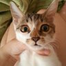 ▶原子力戰艦長門◀'s profile picture
