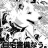 柴犬ちゃちゃ profil fotoğrafı