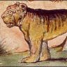Tyger Tyger profil fotoğrafı